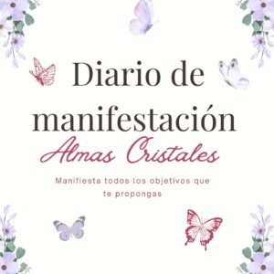 Diario de Manifestación