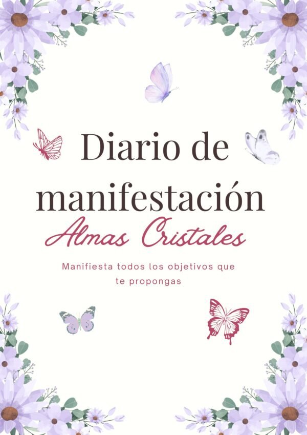 Diario de Manifestación
