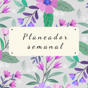Planeador semanal femenino